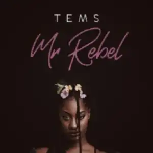 Tems - Mr Rebel
